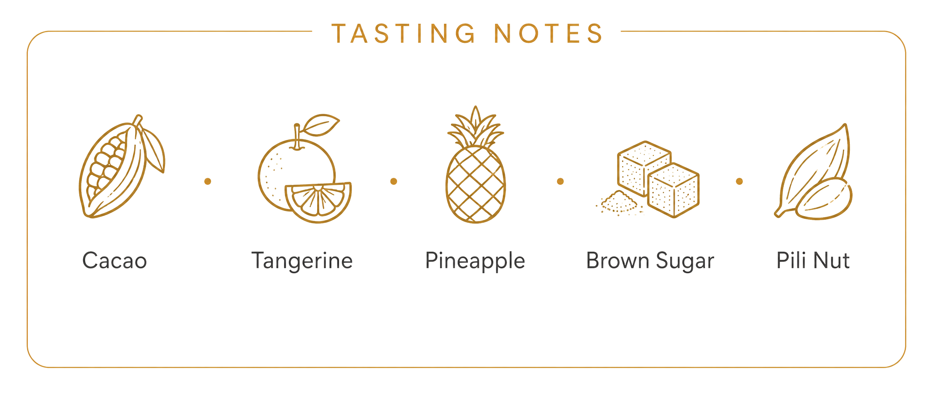 Tasting notes: Cacao · Tangerine · Pineapple · Brown Sugar